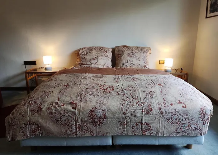 Semesterbostad Spacious For 5 - Kitchen - House - Wifi Nordhorn